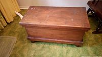 Closed view of the rectangular dark stained wooden chest on carpeted floor.