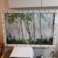 Full view of the framed print showing birch tree forest and birch bark style frame.