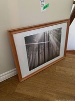 Framed and matted photo art of a forest scene leaning against a wall, visible light reflection on the glass.