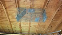 Metal wire mesh animal trap cage hanging from ceiling, showing full length and trap mechanisms.