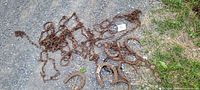 Photo showing a collection of rusty metal horseshoes and several linked steel animal hobbles chains spread on the ground with grass and rocks.