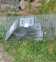 Photo of two wire mesh small animal traps lying on grass with stone background