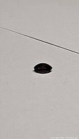 Deep purple marquis cut sapphire viewed on flat surface under lighting showing color and shape.