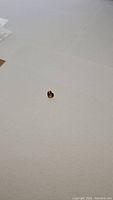 Photo showing the small heart shaped champagne orange Cambodian zircon gemstone on a white background.
