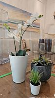 Set of three faux plants on a wooden table with decorative background.