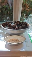 Front view of the two plant pots, showing the larger ceramic pot filled with pine cones, and a smaller shallow pot in front.