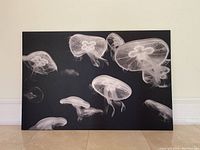 Full view of the canvas print showing multiple jellyfish on a black background, set against a beige floor and white wall.