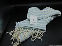 Light blue and cream striped Turkish cotton blanket/towel folded, showing brand tag and fringed edges on black background