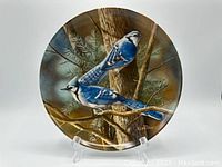 Full view of the round collector plate displaying two Blue Jays perched on tree branches with an evergreen background.