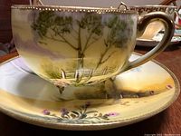 Close-up of the hand-painted scenic teacup and matching saucer, showing detailed gold trim and floral designs.