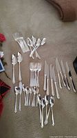 Overview of the full flatware set showing knives, forks, spoons, and server laid out on carpet.