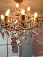 Front view of the chandelier hanging, showing eight candle-style bulbs and hanging crystal prisms.