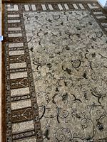 Photo of the beige and brown contemporary area rug showing floral vine pattern and geometric border on wood floor.