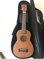 Full view of soprano ukulele inside black soft carrying case.