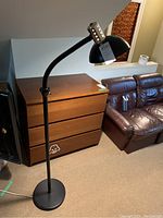 Full view of the black metal floor lamp showing its round base, straight pole, and flexible neck attached to dome-shaped shade.