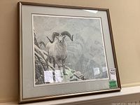 Framed print showing mountain ram goat on a snowy rocky ledge in gray tones.
