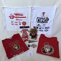 Overview of all Ottawa Senators memorabilia items included in the lot presented on a white background.
