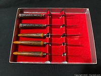Five vintage steak knives with Bakelite handles in a red velvet-lined box.