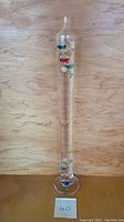 Full vertical view of Galileo thermometer tube against wooden background.