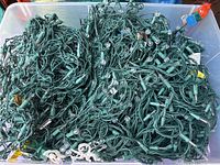 Large clear plastic bin containing several tangled green wire string light strands with small white LED bulbs, suitable for decoration or holiday use.