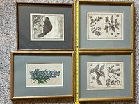 Lot of 4 framed vintage botanical prints laid out together on carpet, showing frames, matting, and print details