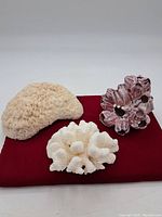 Three coral pieces displayed on a red cloth showing white brain coral, light tan cluster, and pinkish-red cluster.