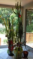Two tall cactus plants with butterfly decorations on window sill surrounded by ceramic rooster, glass bottles, planter, and glass beaded bowl