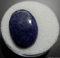 Close-up shot of an oval-shaped deep blue polished lapis lazuli cabochon with gold flecks on a white cushion inside a round case.