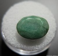 Close-up image of oval faceted green emerald gemstone on white padding inside a clear container.