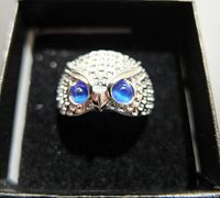 Top view of the silver owl design fashion ring showing blue gemstone eyes.