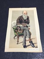Unframed Charles Darwin caricature print showing seated man with white beard in brown coat on green chair, labeled CHARLES (ROBERT) DARWIN.