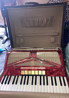 Accordion inside original protective case showing interior lining and pockets