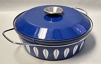 Side angle showing the blue enamel covered pot with white leaf pattern and metal loop handles