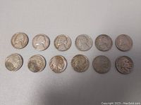 Twelve 5 cent coins arranged in two rows on white background including Indian Head and Jefferson nickels.