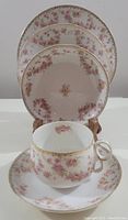 Photo showing the full set of 5 pieces from front showing floral design and gold trim