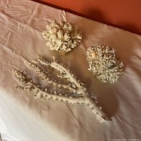 Photo showcasing all three white coral pieces laid out on a beige fabric surface against an orange background