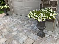Full view of one planter placed on stone pavement outdoors, showing square base and flowering plant