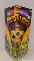 Front view of factory sealed Mighty Morphin Power Rangers Yellow Ranger Trini action figure in original packaging.