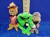 Three Ty Beanie Babies plush toys together: Jolly Canadian Beaver, green frog, and Legs Walrus