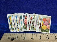 Photo showing most of the 50 cards fanned out against blue cloth with measuring ruler for scale