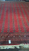 Full view of rug showing overall field and fringe