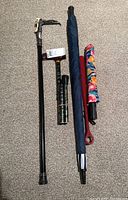 All five items including three canes and two umbrellas arranged on a carpeted floor.