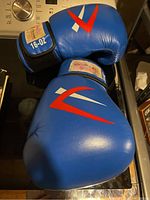 Pair of blue boxing gloves with red and white logo, one glove showing 16 OZ on wrist strap.