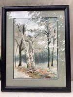 Framed watercolor of birch trees in natural setting showing details of trunk bark and distant trees, with visible artist signature.