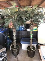 Two faux palm trees wrapped with white mini lights, standing in brown woven pots with moss, approximately 76 inches tall and 13 inch diameter pots.