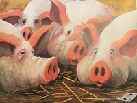 Close-up of the lithograph showing five pigs lying on straw, white and pink in color with expressive faces and soft lighting.