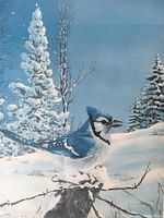 Close-up of the lithograph showing a blue jay on a snow-covered branch with a snowy forest background, showing detail and color of the artwork.