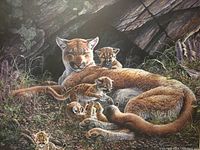 Close-up detail of lithograph showing cougar with cubs in natural setting and artist's pencil signature and numbering.