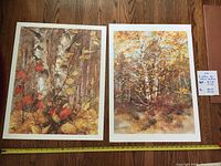 Photo displaying both lithographs side by side on a wooden surface with tape measure showing size