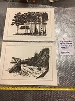 Photo showing two unframed Roy Hewetson block prints side by side on bubble wrap with a handwritten note detailing print sizes and condition